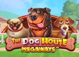 topleadinfo: The Dog House Megaways